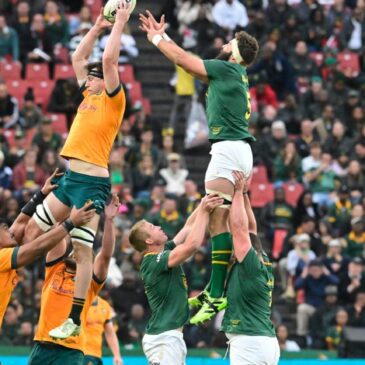 Wallabies vs South Africa