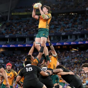 Wallabies vs All Blacks