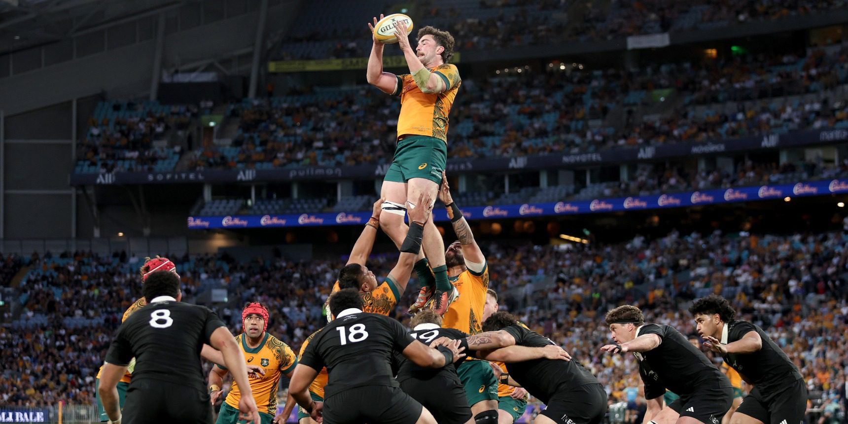 Wallabies vs All Blacks