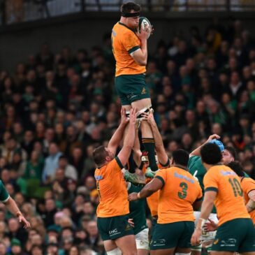 Wallabies vs Ireland