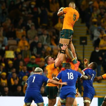 Wallabies vs France